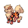 Image of Arcanine