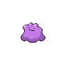 Image of Ditto