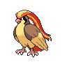 Image of Pidgeot