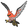 Image of Talonflame