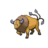 Image of Tauros